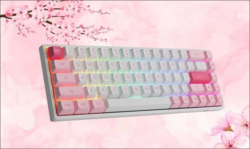 Bàn phím cơ AKKO 3068B Plus Prunus Lannesiana với thiết kế TKL