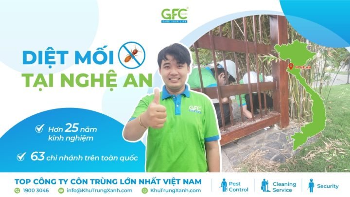 Ảnh minh họa thiệt hại do mối gây ra tại các công trình ở Nghệ An