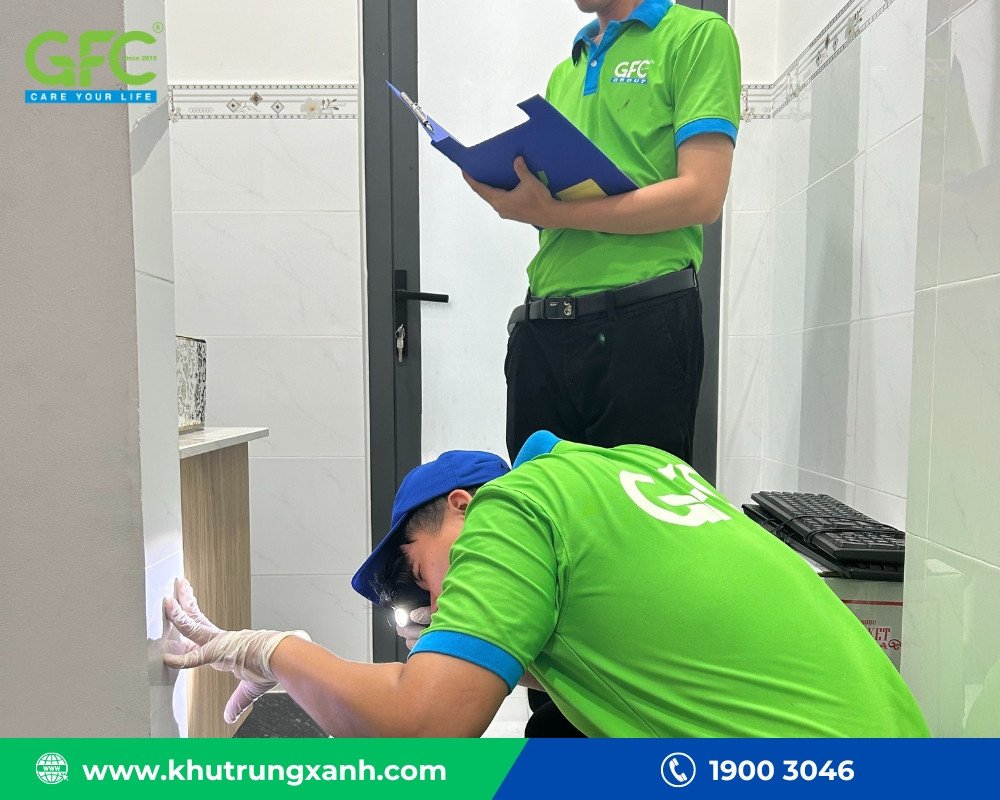 Quy trình diệt mối chuyên nghiệp đảm bảo hiệu quả tại Nghệ An