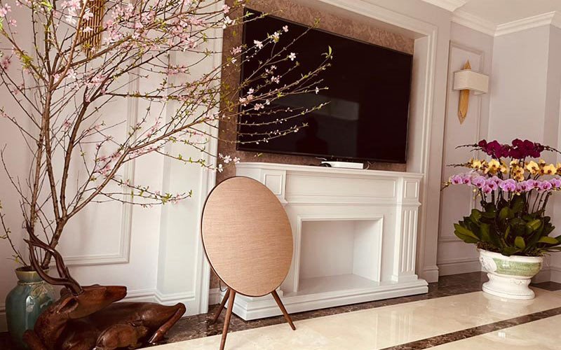 Thiết bị loa bluetooth cao cấp B&amp;O BeoPlay A9 MK4 phiên bản vàng đồng