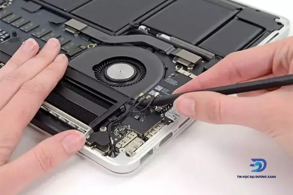Laptop Phát Ra Âm Thanh Lạ