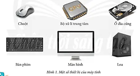 Các Thiết Bị Ra Của Máy Tính: Khái Niệm, Phân Loại Và Ứng Dụng Chi Tiết