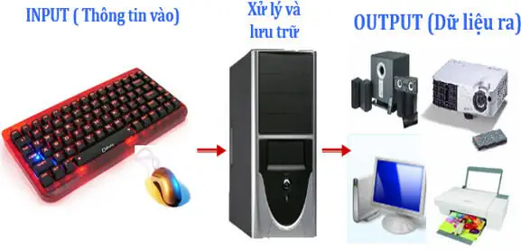 Tổng Quan Về Các Thiết Bị Ra Vào Của Máy Tính: Chức Năng & Phân Loại Tổng Quan Về Các Thiết Bị Ra Vào Của Máy Tính: Chức Năng & Phân Loại