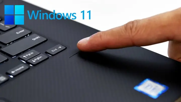 Cách Cài Vân Tay Cho Laptop Windows 11 (2024) Giúp Sử Dụng Máy Tính An Toàn Hơn Cách Cài Vân Tay Cho Laptop Windows 11 (2024) Giúp Sử Dụng Máy Tính An Toàn Hơn