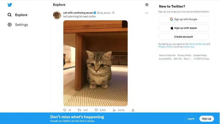 Đăng Nhập Twitter Bằng Số Điện Thoại, Gmail Đăng Nhập Twitter Bằng Số Điện Thoại, Gmail