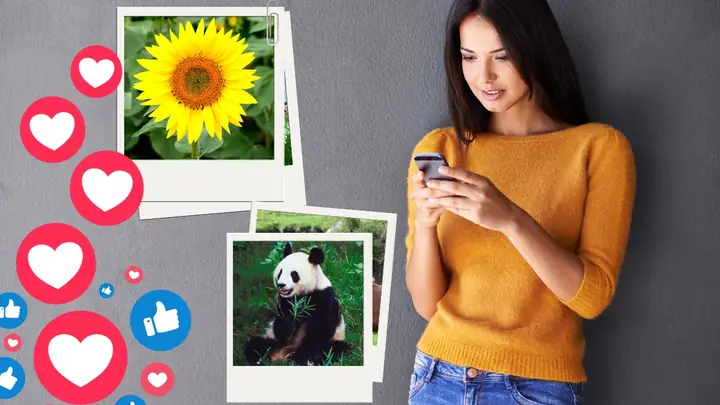 Lợi Ích Khi Đăng Nhiều Hình Lên Cùng Một Story