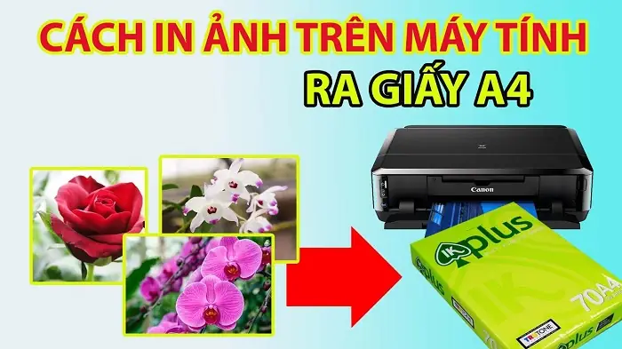 Cách In Ảnh Từ Máy Tính Ra Giấy A4 Cách In Ảnh Từ Máy Tính Ra Giấy A4