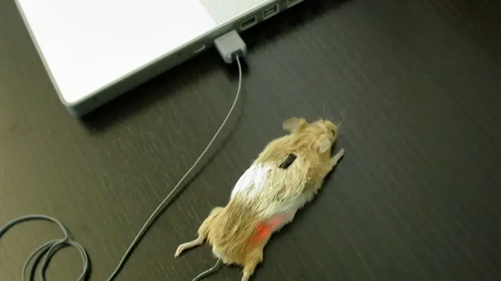Mouse Test