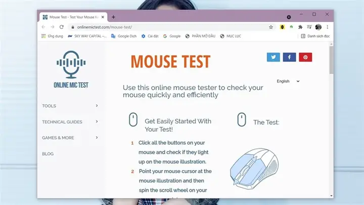 Mouse Test