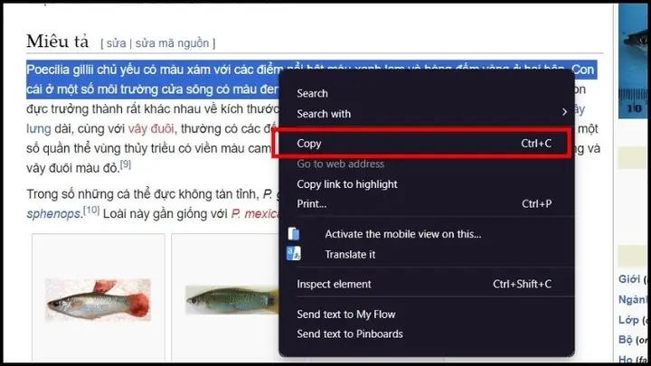Cách Sao Chép Trên Máy Tính Windows
