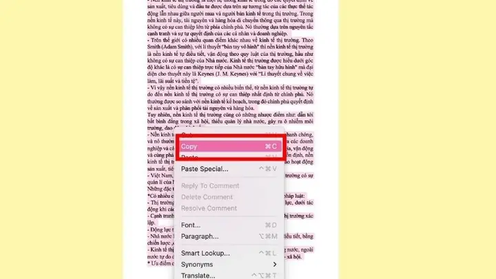 Sao Chép Tài Liệu Có Nhiều Trang Trong Word
