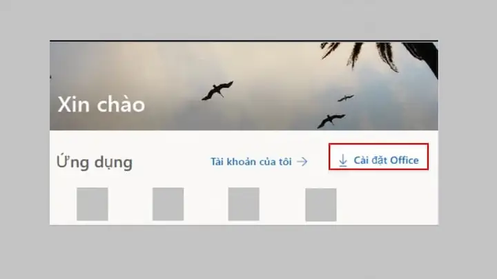 Hướng Dẫn Cách Tải Xuống Và Cài Đặt Microsoft Word 365