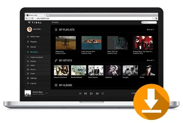 Lợi Ích Khi Tải Nhạc Về Máy Tính, Laptop