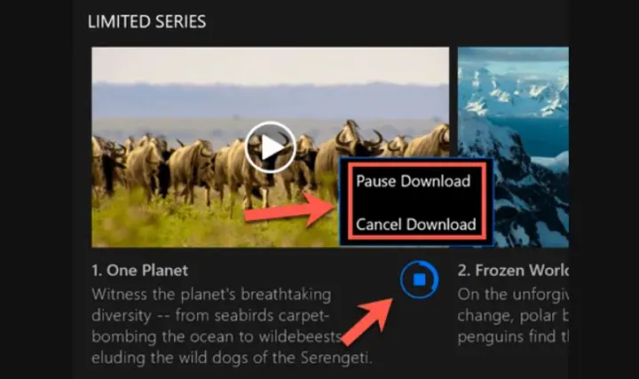 Hướng Dẫn Tải Phim Trên Netflix Về Máy Tính