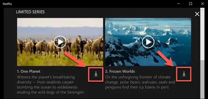Hướng Dẫn Tải Phim Trên Netflix Về Máy Tính