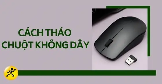 Hướng Dẫn Chi Tiết Cách Tháo Chuột Máy Tính Không Dây An Toàn