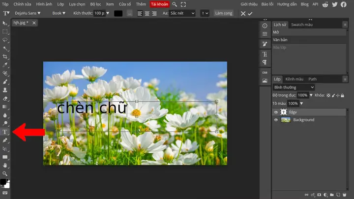 Photopea Photopea
