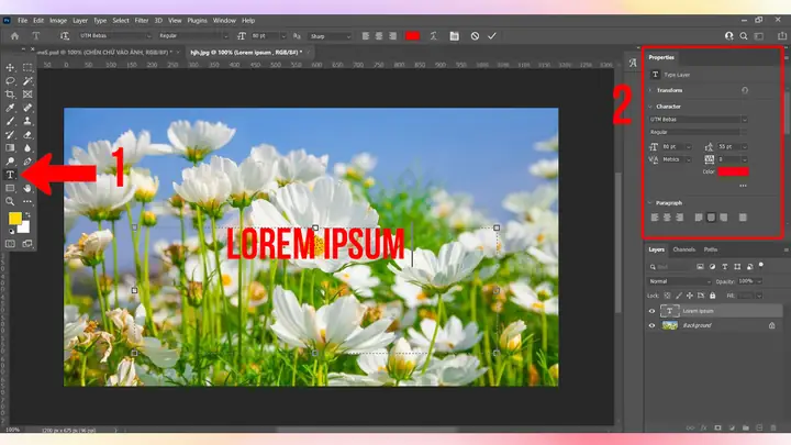 Photoshop Photoshop