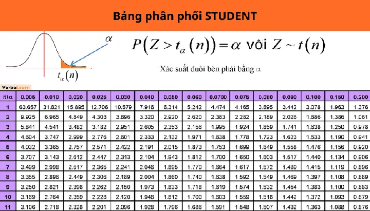 Kiểm Định Hai Phía (alpha = 0.05, Df = 25)