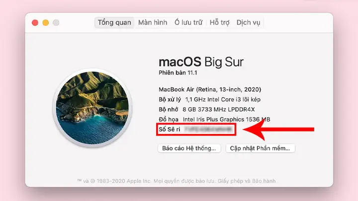 - Tra Cứu Trên Google