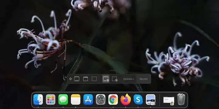 Chụp Màn Hình Zoom Trên Máy Tính Trên Hệ Điều Hành Macos