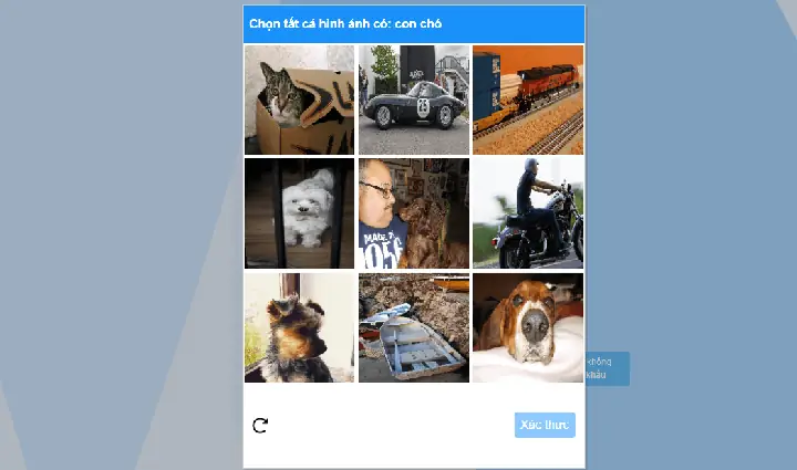 Cách Đăng Nhập Zalo Web Bằng Số Điện Thoại