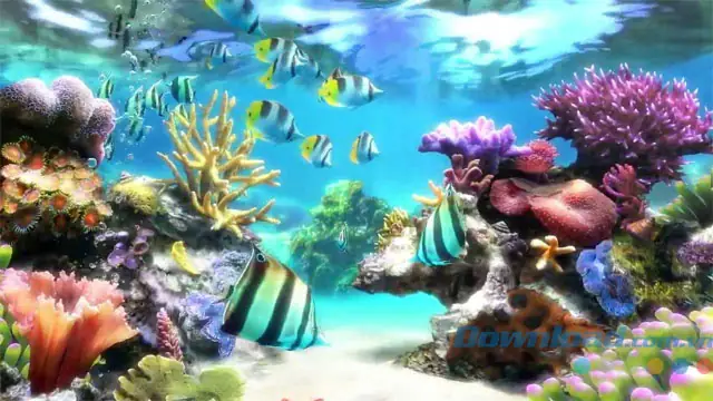 Video Giới Thiệu Ứng Dụng Sim Aquarium 3d