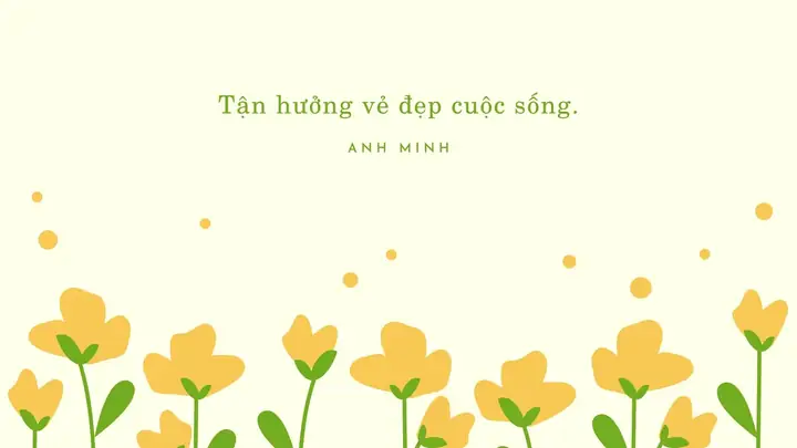 Hình Ảnh Cho Hình Nền Hoa Cúc Đẹp Cho Máy Tính: