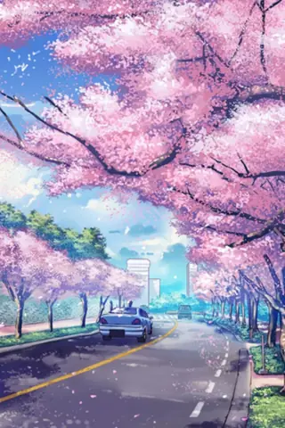 Hình Nền Hoa Đào Anime Hình Nền Hoa Đào Anime