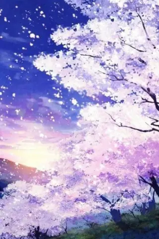 Hình Nền Hoa Đào Anime Hình Nền Hoa Đào Anime
