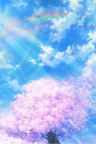 Hình Nền Hoa Đào Anime Hình Nền Hoa Đào Anime