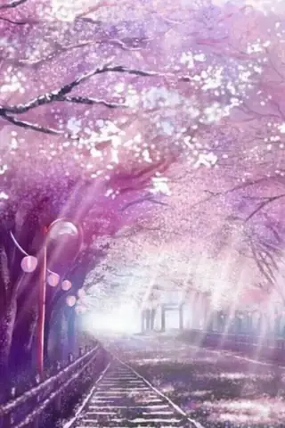 Hình Nền Hoa Đào Anime Hình Nền Hoa Đào Anime