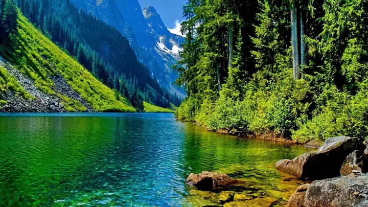 Những Hình Nền Background 4k Nature Thiên Nhiên Độc Đáo, Tải Ngay Miễn Phí Những Hình Nền Background 4k Nature Thiên Nhiên Độc Đáo, Tải Ngay Miễn Phí