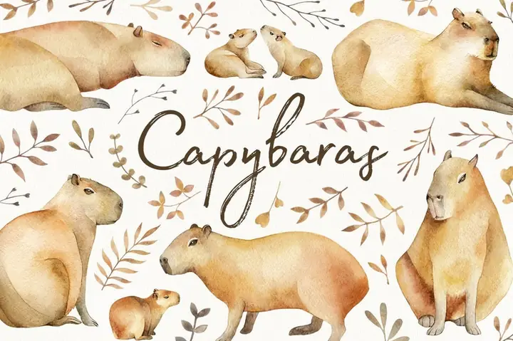 Hình Nền Máy Tính Capybara