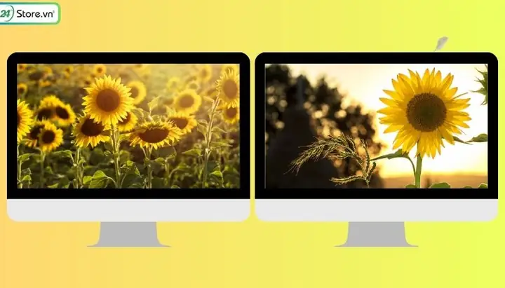 Top 101+ Hình Nền Hoa Hướng Dương Đẹp Nhất, Full Hd Cho Máy Tính