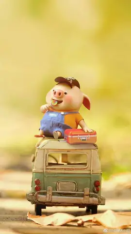 Tổng Hợp Hình Nền Heo Con Dễ Thương- Cute Đẹp Nhất Cho Máy Tính, Điện Thoại