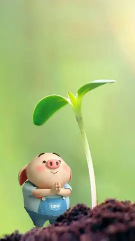 Tổng Hợp Hình Nền Heo Con Dễ Thương- Cute Đẹp Nhất Cho Máy Tính, Điện Thoại