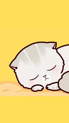 Hình Nền Con Vật Cute Cho Điện Thoại Có Sao? Hình Nền Con Vật Cute Cho Điện Thoại Có Sao?