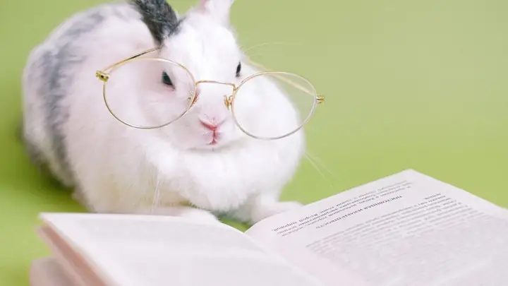 Hình Nền Máy Tính Cute, Dễ Thương