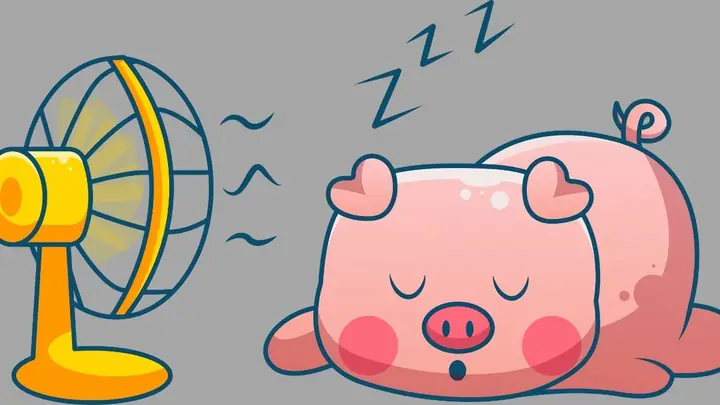 Hình Nền Máy Tính Cute, Dễ Thương