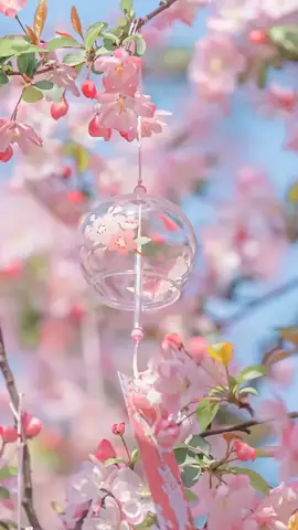 Hình Nền Máy Tính Cute Màu Hồng Dễ Thương Cho Gái Xinh Hình Nền Máy Tính Cute Màu Hồng Dễ Thương Cho Gái Xinh