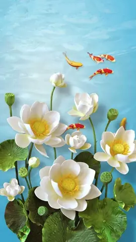 Hình Nền Hoa Sen Đẹp Chođiện Thoại