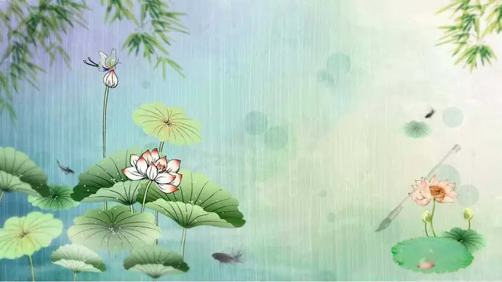 Hình Nền Hoa Sen 4k Chomáy Tính