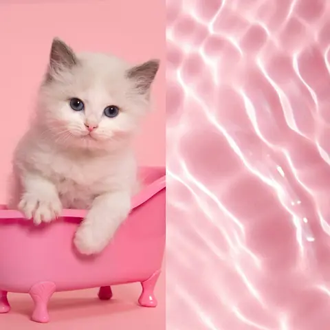 Hình Nền Màu Hồng Cute Cho Điện Thoại
