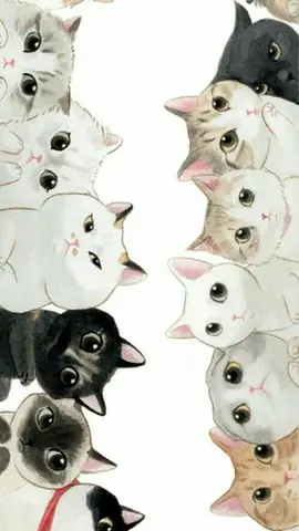 Hình Ảnh Mèo Cute Nhất