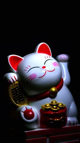 Hình Nền Mèo Thần Tài Được Yêu Thích