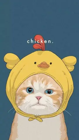 Hình Ảnh Mèo Cute Nhất