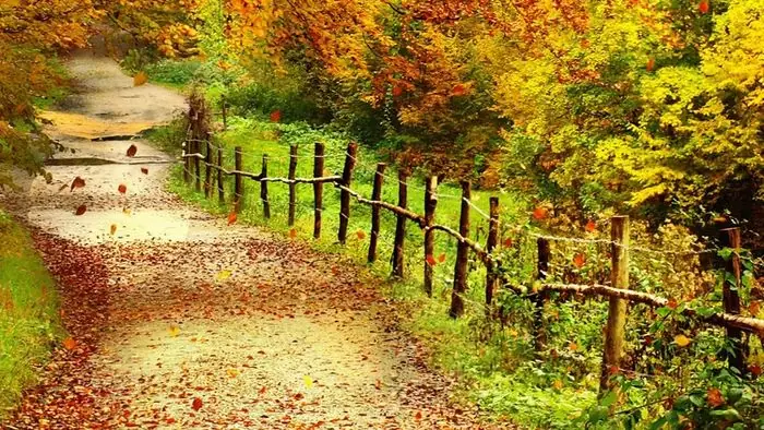 Khám Phá Vẻ Đẹp Và Cách Cài Đặt Hình Nền Máy Tính Mùa Thu Khám Phá Vẻ Đẹp Và Cách Cài Đặt Hình Nền Máy Tính Mùa Thu