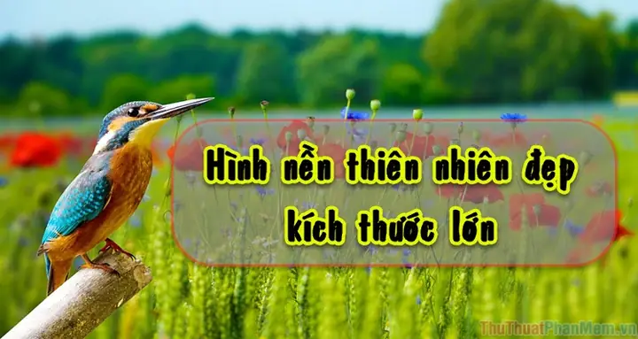 Hình Nền Máy Tính Thiên Nhiên Đẹp Kích Thước Lớn