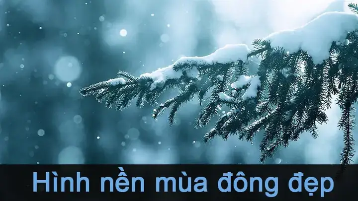 Tại Sao Nên Chọn Hình Nền Mùa Đông Cho Máy Tính? Tại Sao Nên Chọn Hình Nền Mùa Đông Cho Máy Tính?